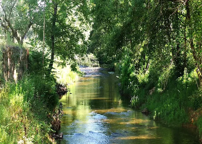 فندق Hd | Duecitania Design